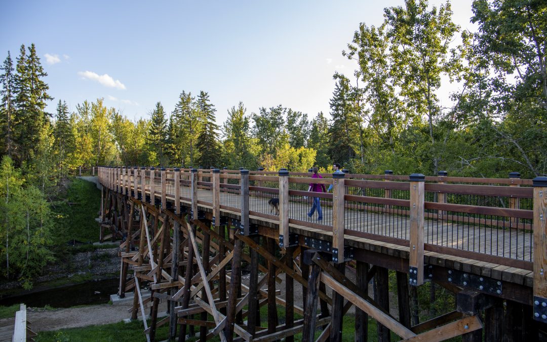 Mill Creek Pedestrian Bridges