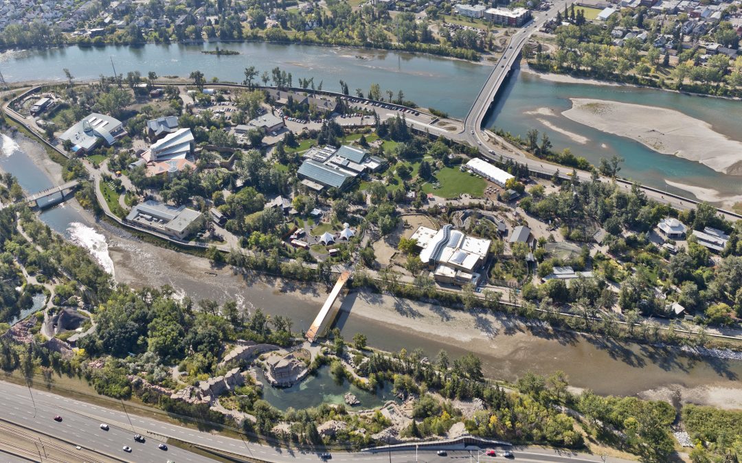 Calgary Zoo Flood Mitigation