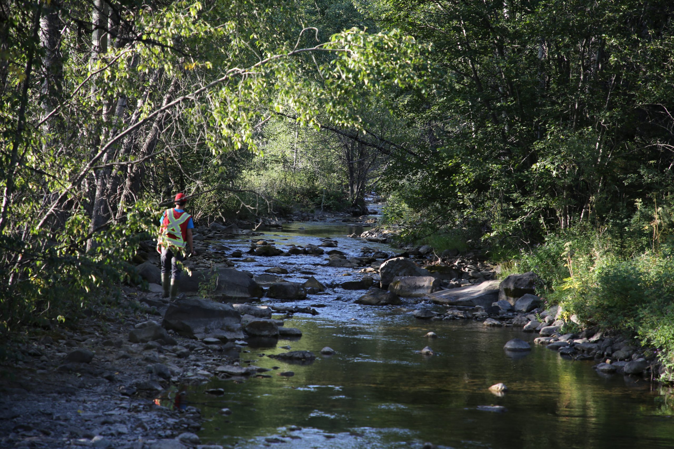 Forestry and Resource_Robyn