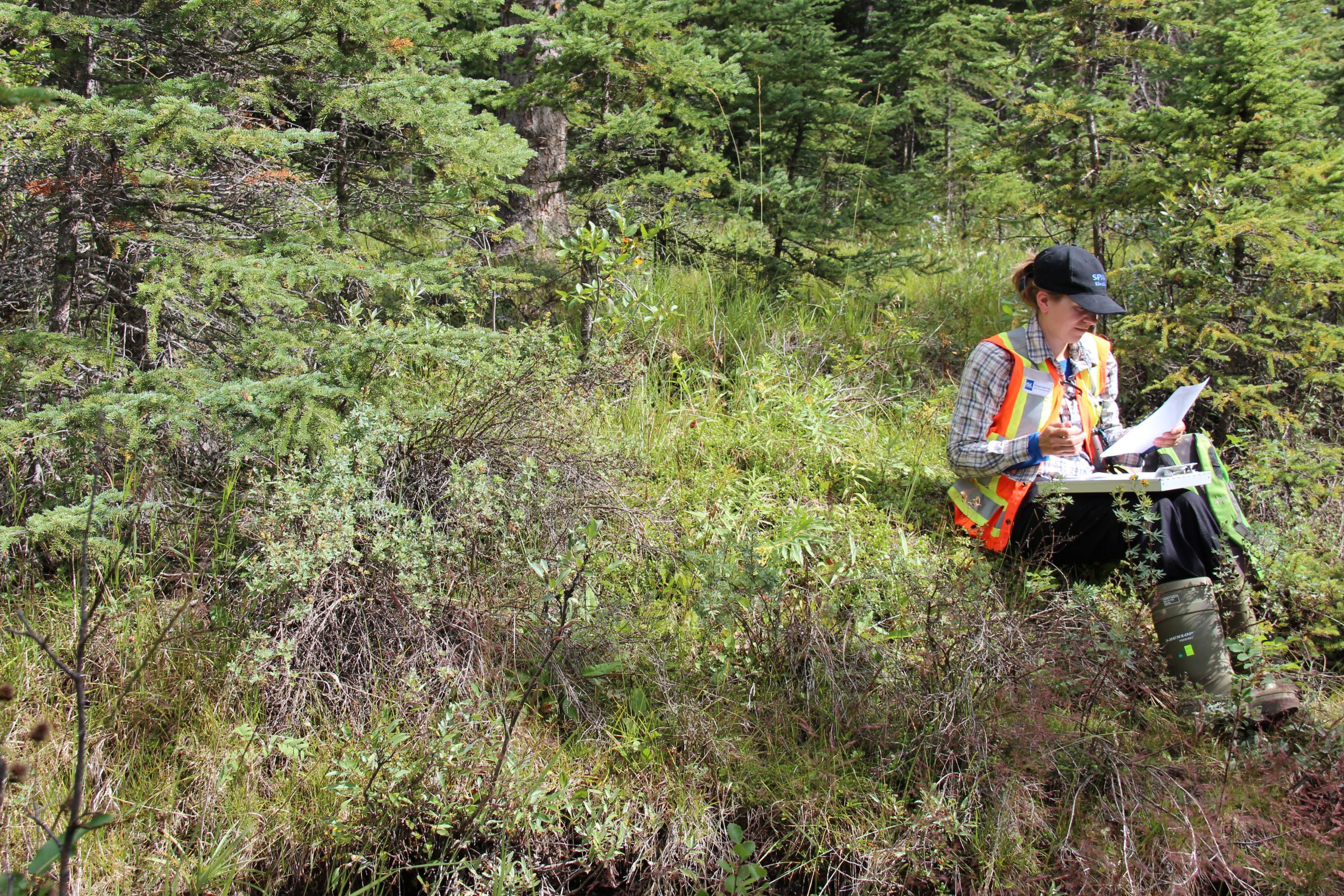 Misc_FieldAssessment (2)